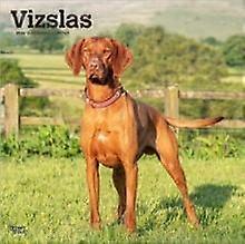 Vizslas 2026 Square Flap Calendar by BrownTrout Calendar Book