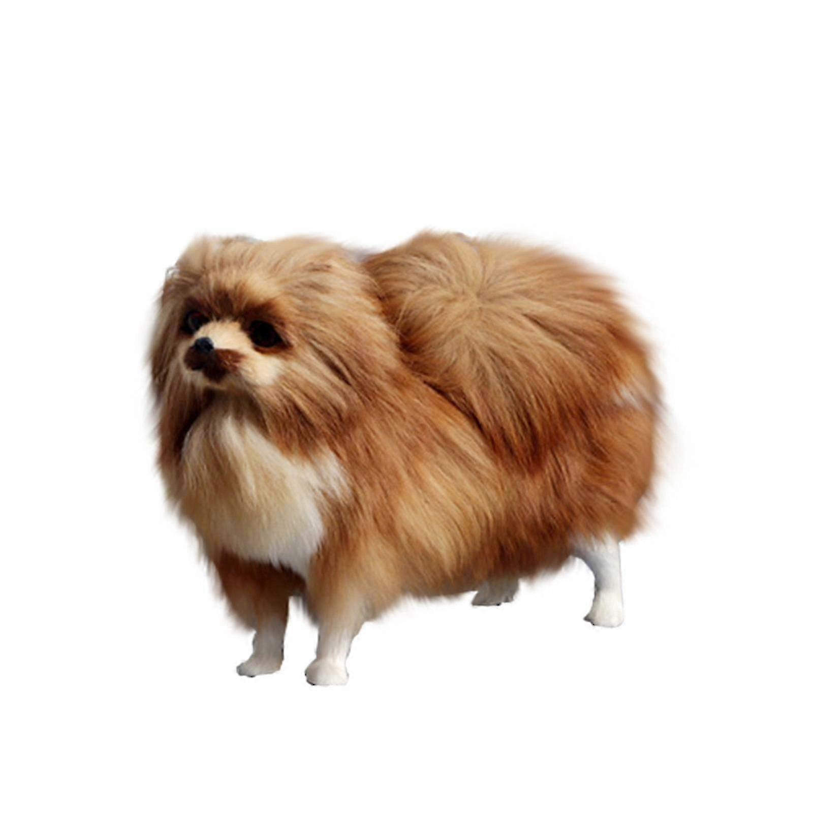 Pomeranian Dog Simulation Model Toy 2025