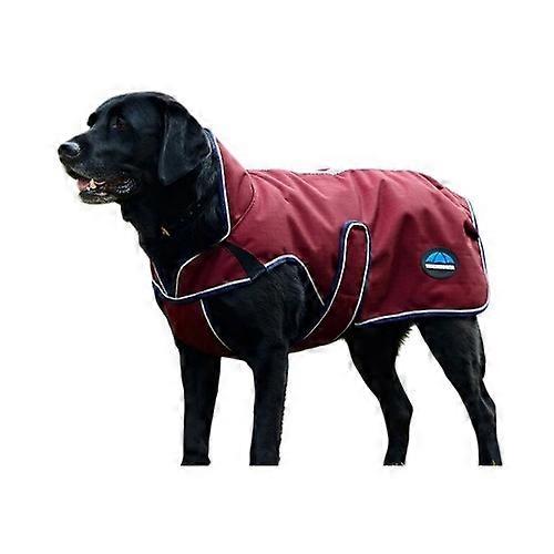 Weatherbeeta ComFiTec Premier Deluxe Waterproof Dog Coat