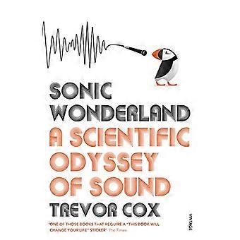Sonic-Wunderland: Eine wissenschaftliche Odyssee des Klangs