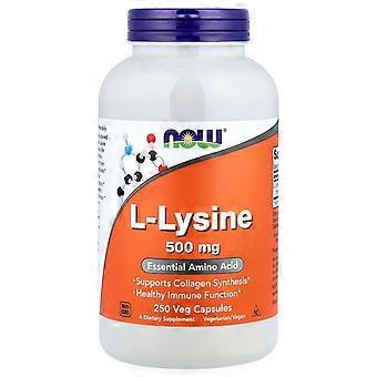 NOW Foods, L-Lysine, 500 mg, 250 Veg Capsules