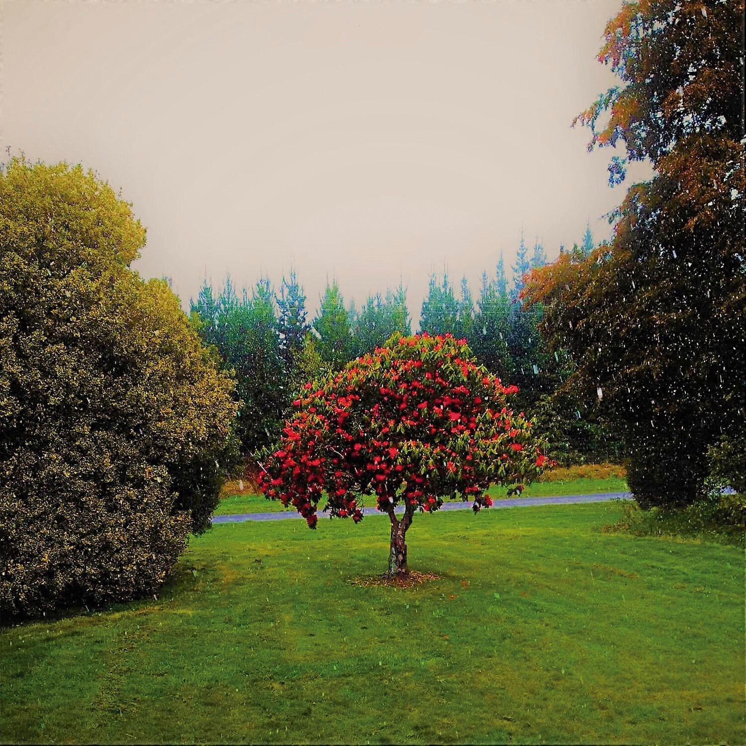 The Bats - Foothills  [COMPACT DISCS] USA import