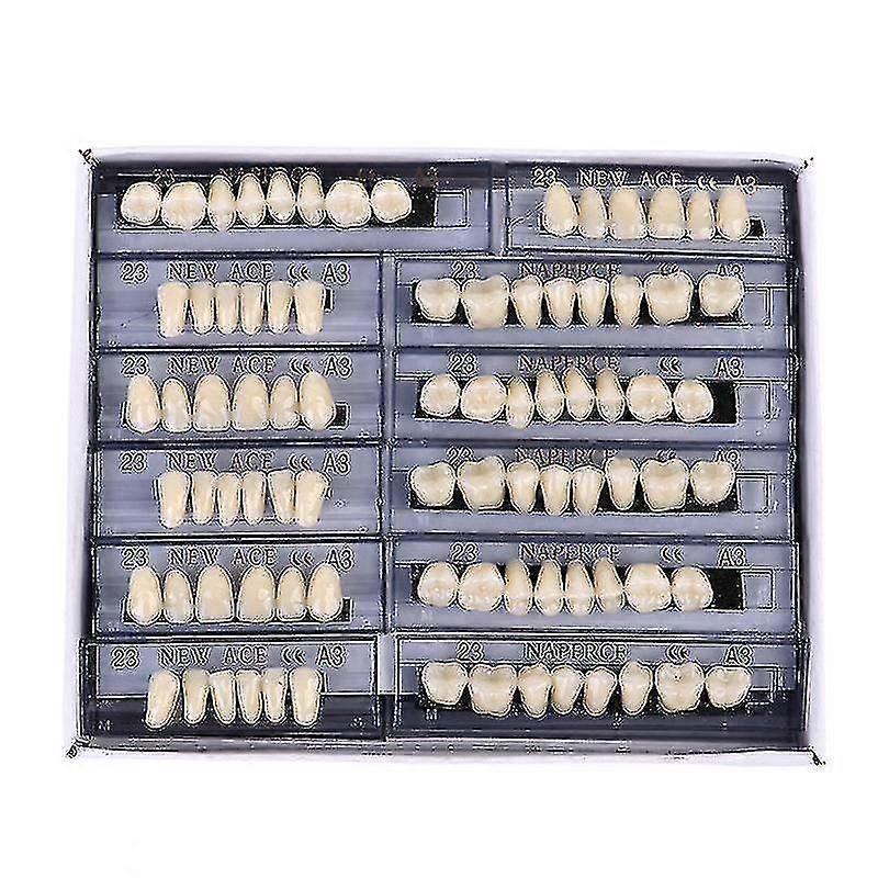 84 stycken A3 Tandsyntetiska polymertänder Full Set Hartsproteständer Material