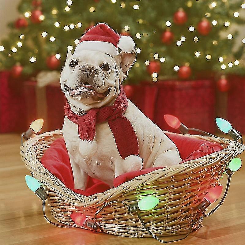 Tizzy Cat And Dog ぬいぐるみクリスマスハット