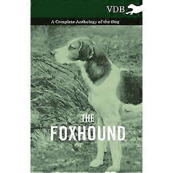 The Foxhound - A Complete Anthology of the Dog