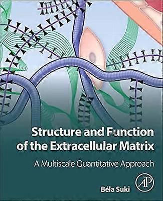 Structure and Function of the Extracellular Matrix
