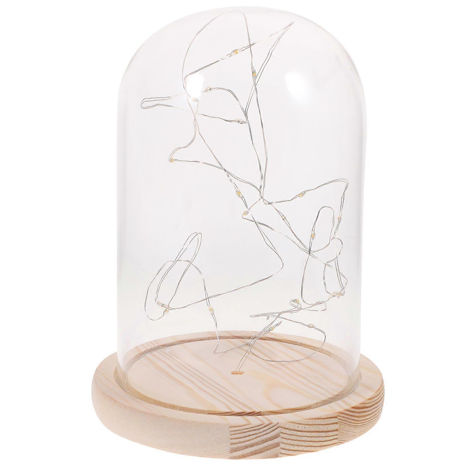 Glass Dome Lamp Bell Jar Display Dome Wooden Base String USB LED Warm White Light Bedside Table Lamp with LED Warm Fairy Starry String Lights (Warm Wh