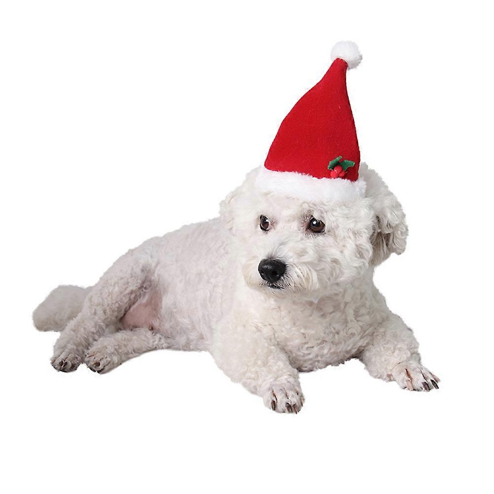 Adorable Pet Cosplay Hat with Plush Ball and Flower Design for Wearing Polar Fleece Red