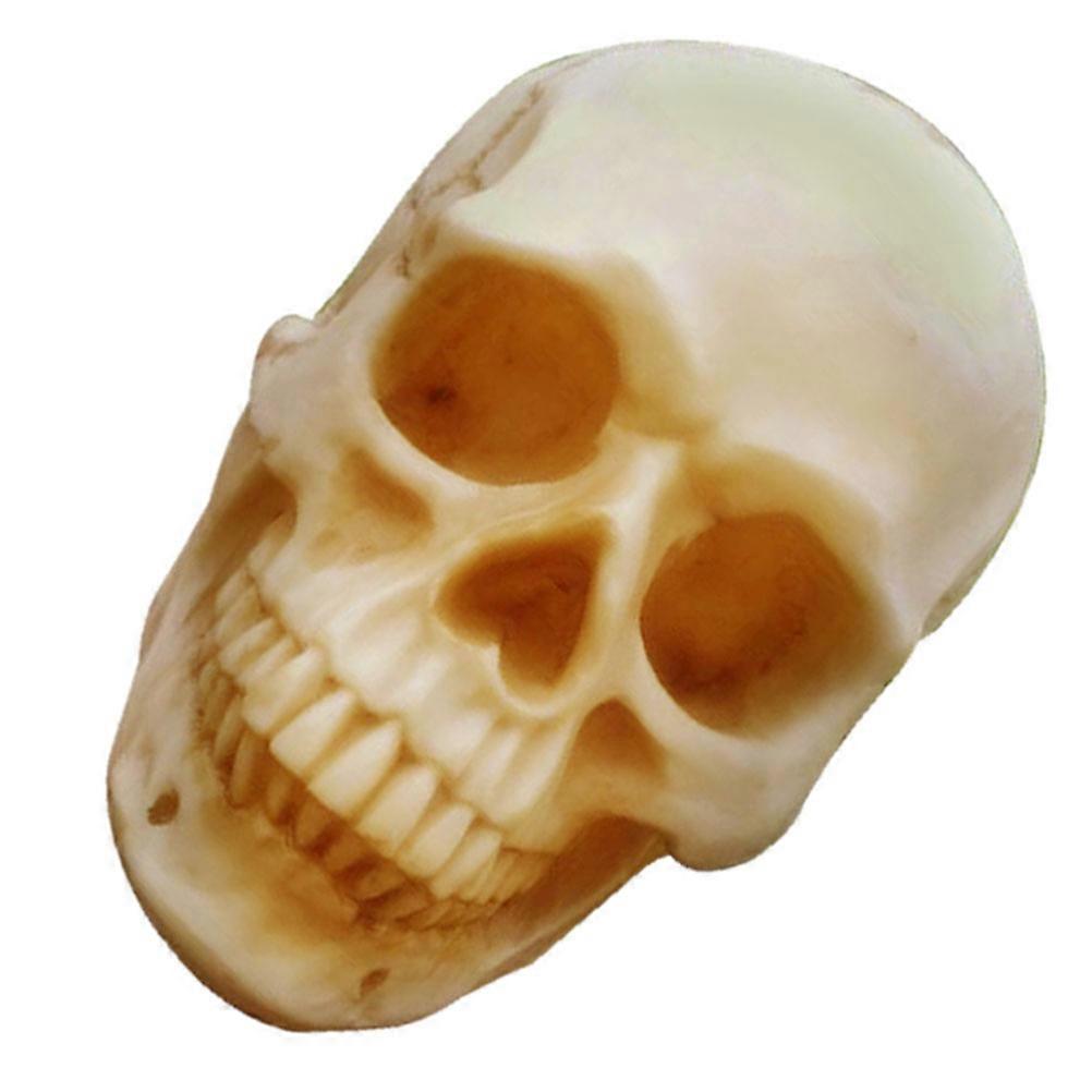 Skull Prop Skeleton Human Skull for Halloween One Piece