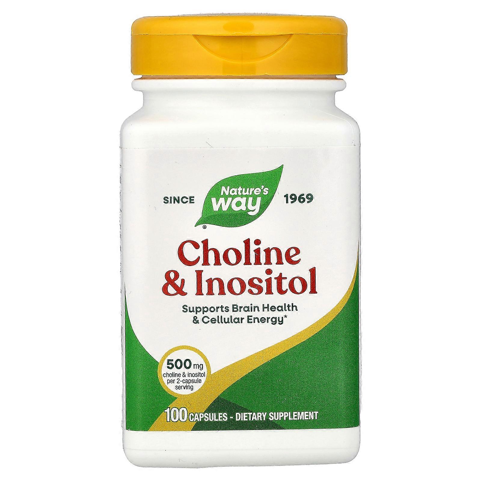 Nature's Way, Choline & Inositol, 100 Capsules