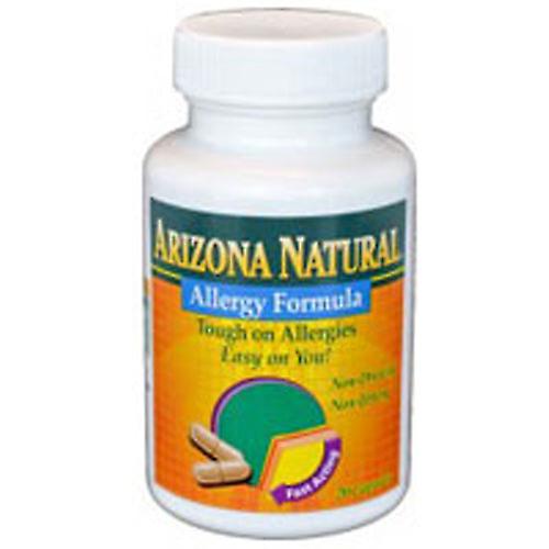 Arizona Allergy Formula, 60 κάψουλες (Πακέτο του 1)