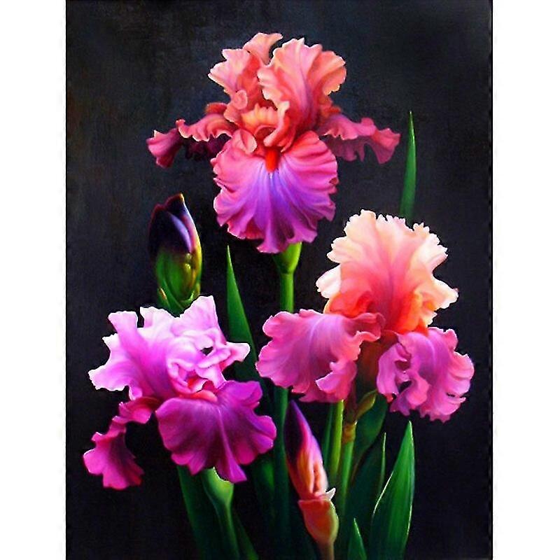 Timanttimaalaus Full Drill Flower "iris", diy 5d timantti kirjonta maalaus väri "punainen" Risti stitch pyöreä poran sisustus
