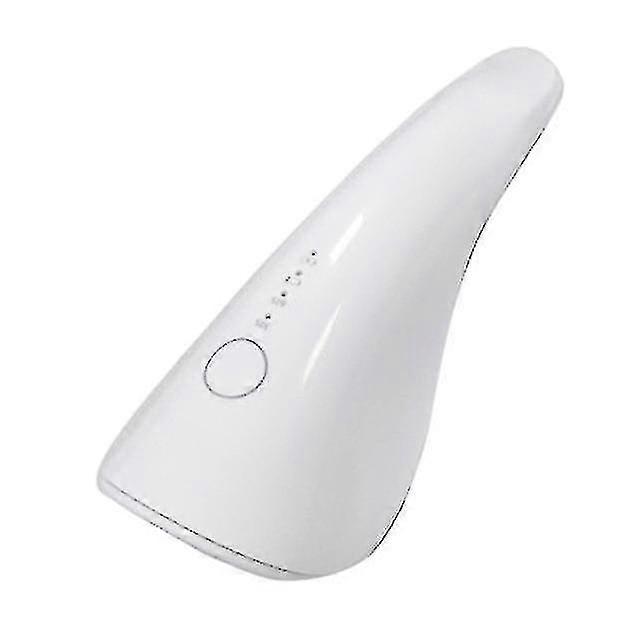 EVAGO Rechargeable Nail Lamp 2 Leds Handheld