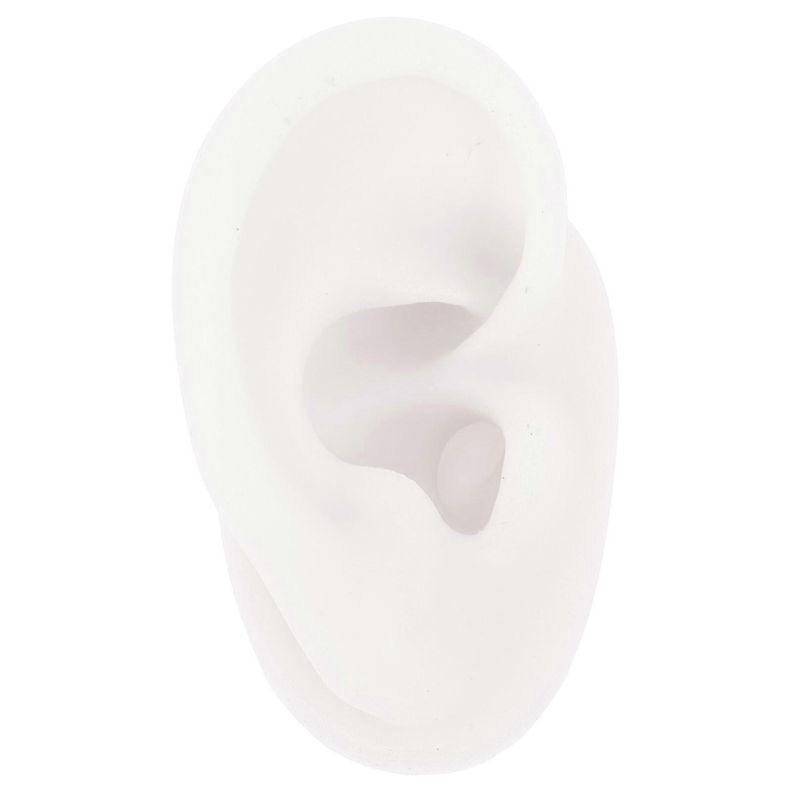 Ear Model Silicone Human Ear Model for Piercing Practice Jewelry Display