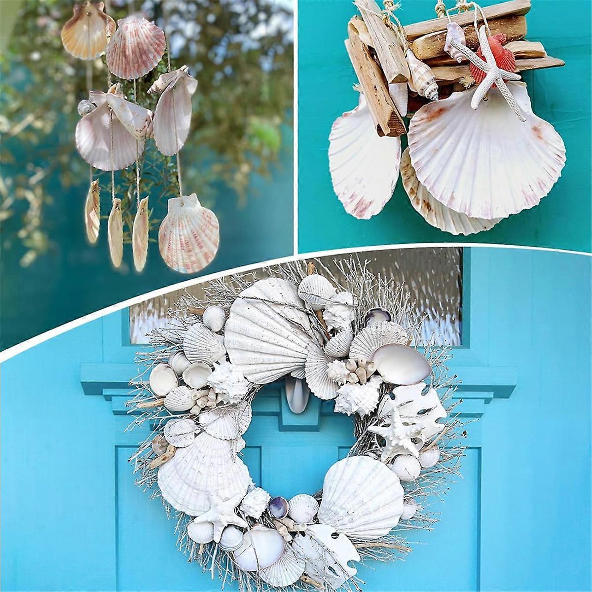 25pcs Large Scallop Shells for Crafts 4-5inch White Scallop Shells