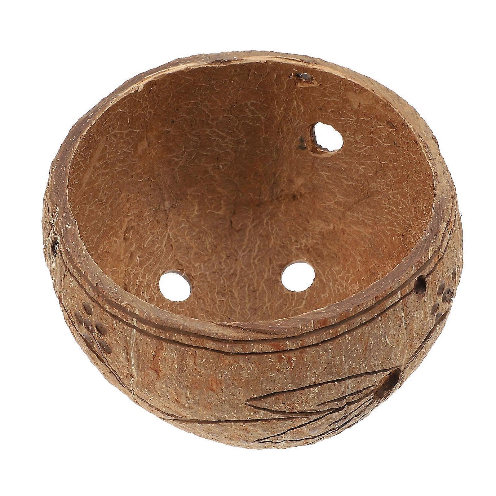 1pc Hanging Coconut Shell Pot for Garden Decor with Succulent Plants