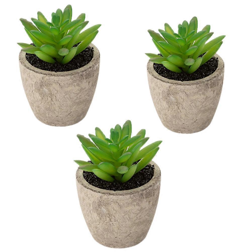 Assorted Color Fake Succulent Plants in PVC Pulp Basin for Home Decoration Durability Ensured 3 Pcs