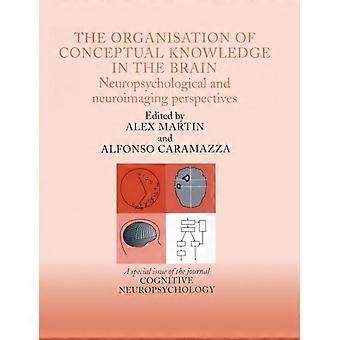 A Organização do Conhecimento Conceitual no Cérebro: Neuropsicologia e Neurociência - Taylor & Francis Ltd - Brochura - Livro em inglês