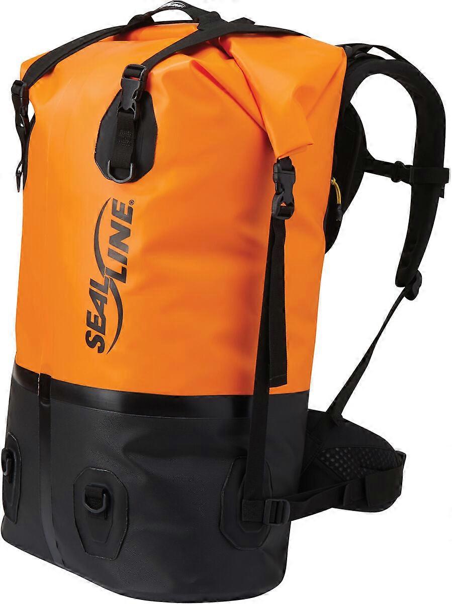 Sealline Pro Dry Pack