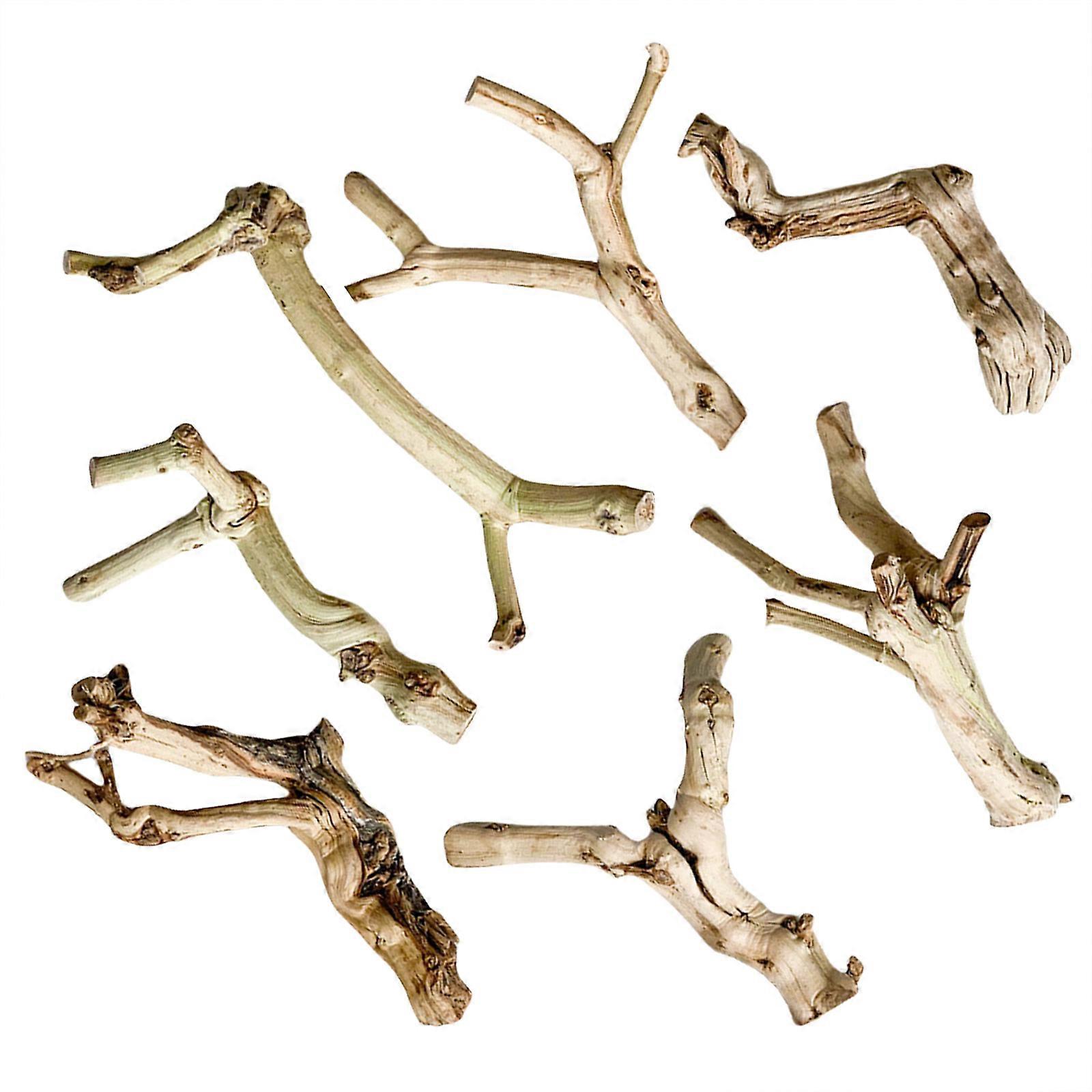 Trunk Driftwood for Lizards Geckos for Terrariums Reptiles Wood Trunk Cave for Amphibians Reptiles Multicolor