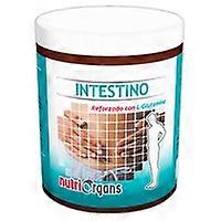 Intestine 250 g