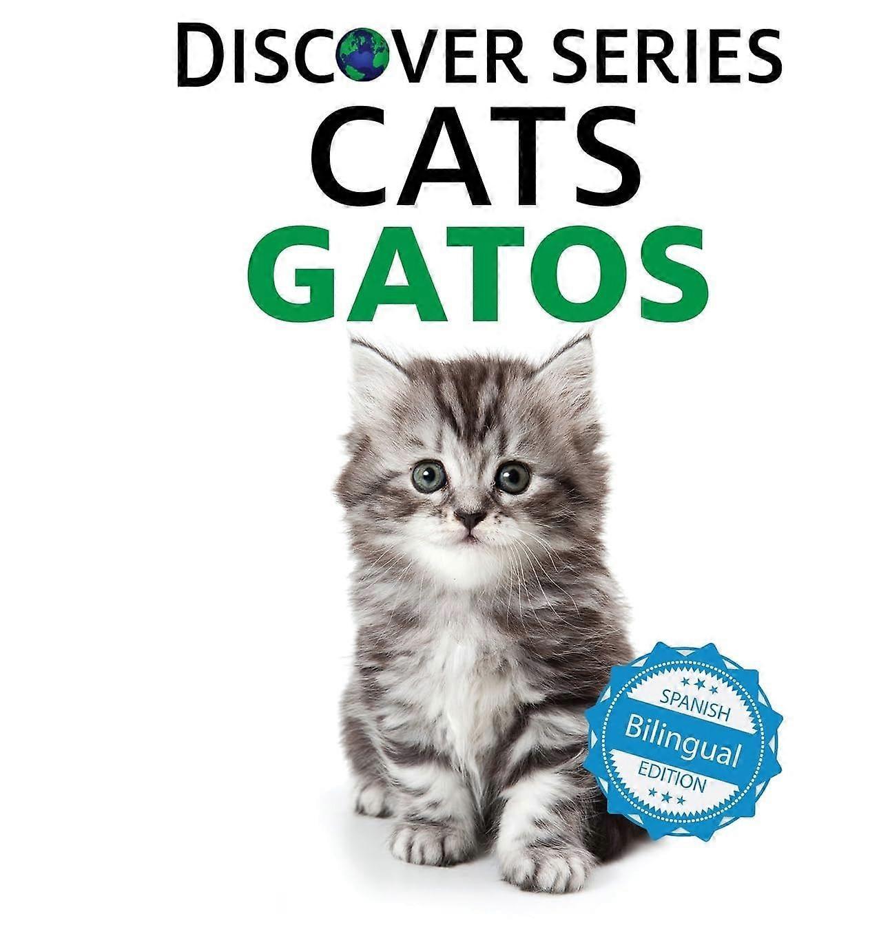 Cats gatos