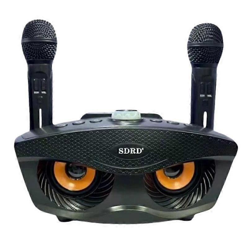 SDRD SD306S Wireless Bluetooth Speaker With Dual Microphone