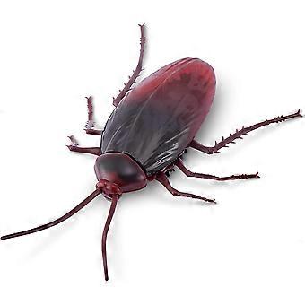 Live crawling cockroaches series 2
