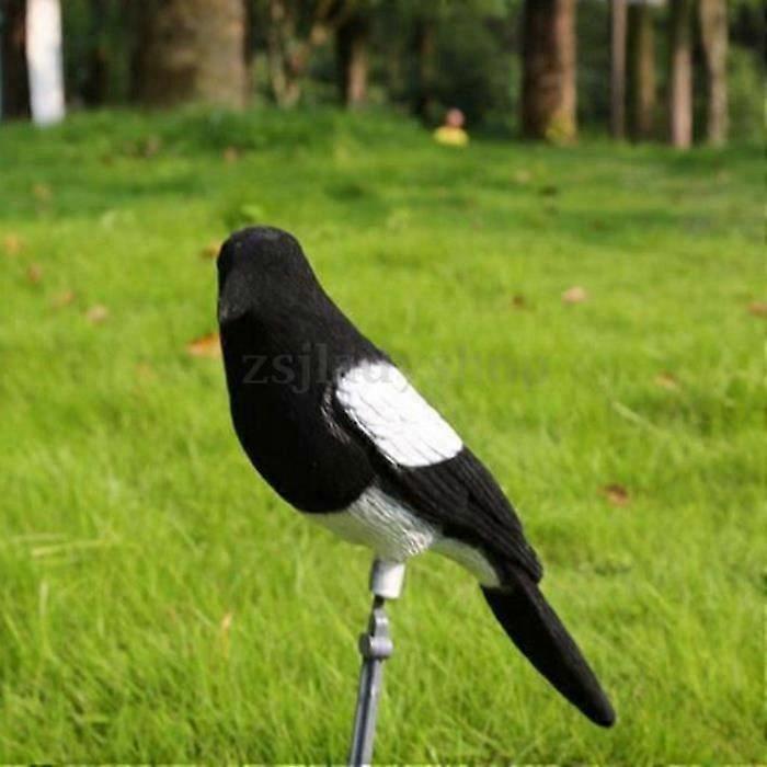 Magpie Decoy Trapping 1-Piece Trap Cage