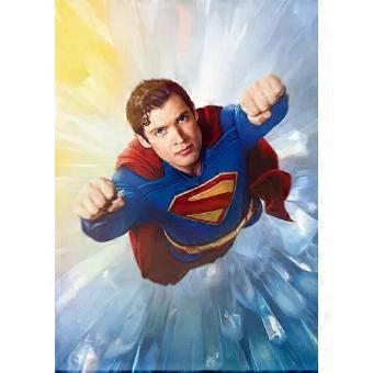 SUPERMAN 2025 MOVIE Jigsaw PuzzleS RNB178