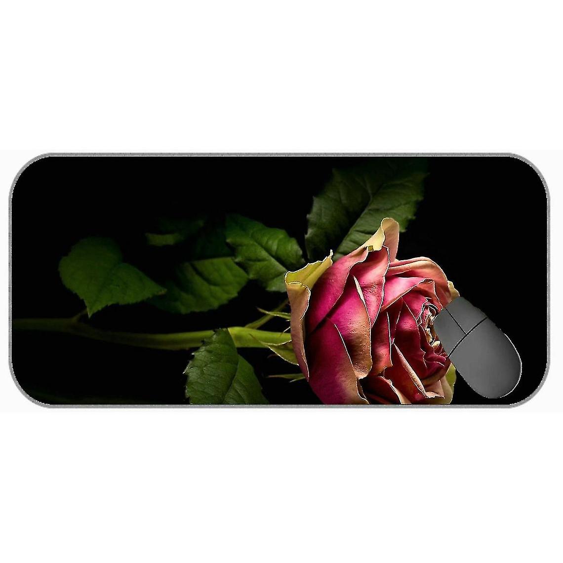(750x300x3) Xxl Paut Paut Pauter