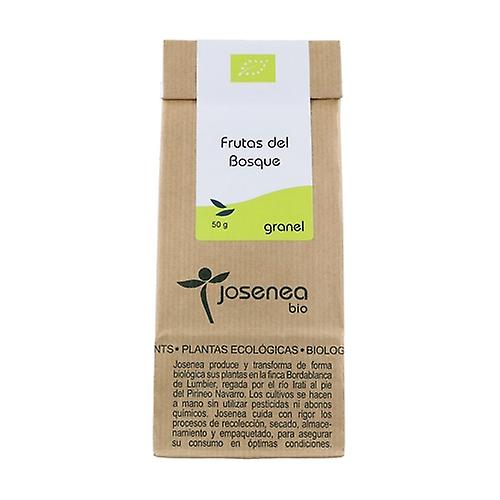 Fruits of the Forest Bag 50 g