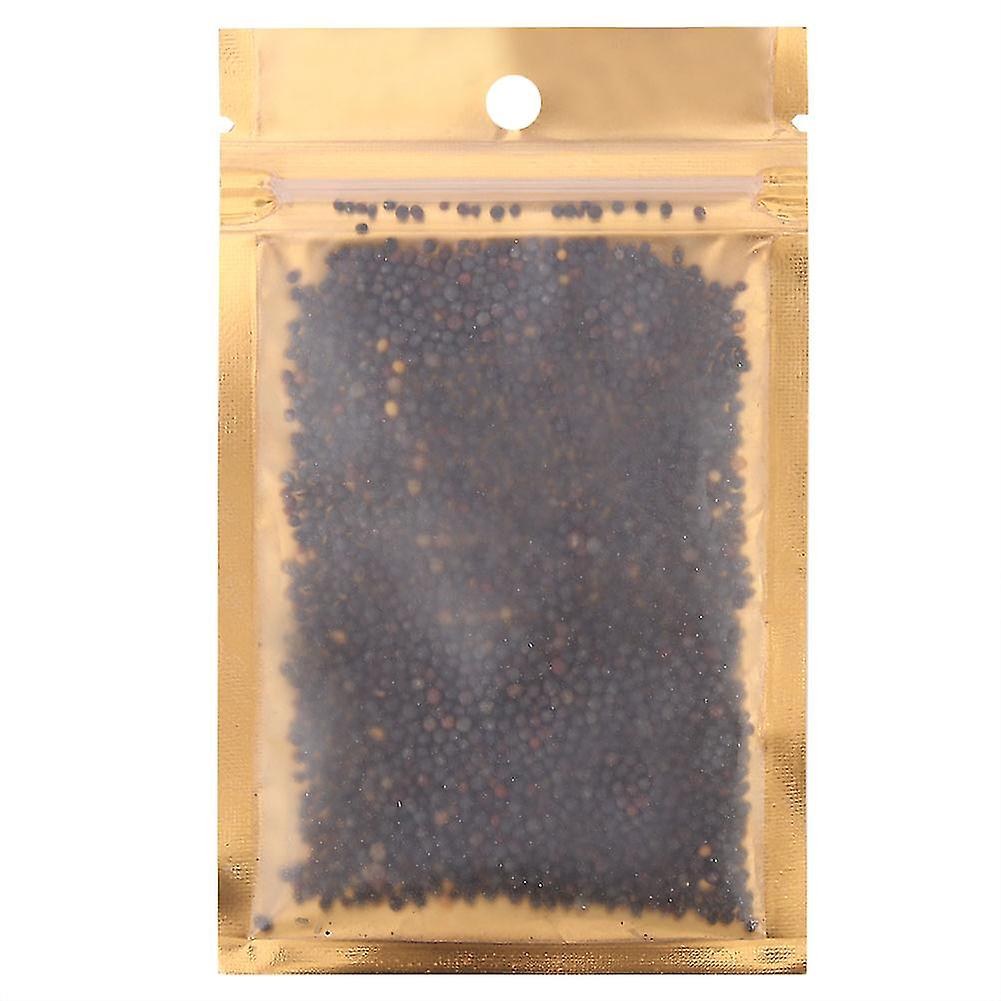 10g 쉬운 물 수생 살아있는 성장 식물 씨앗 어항 수족관 장식(하트 그래스)