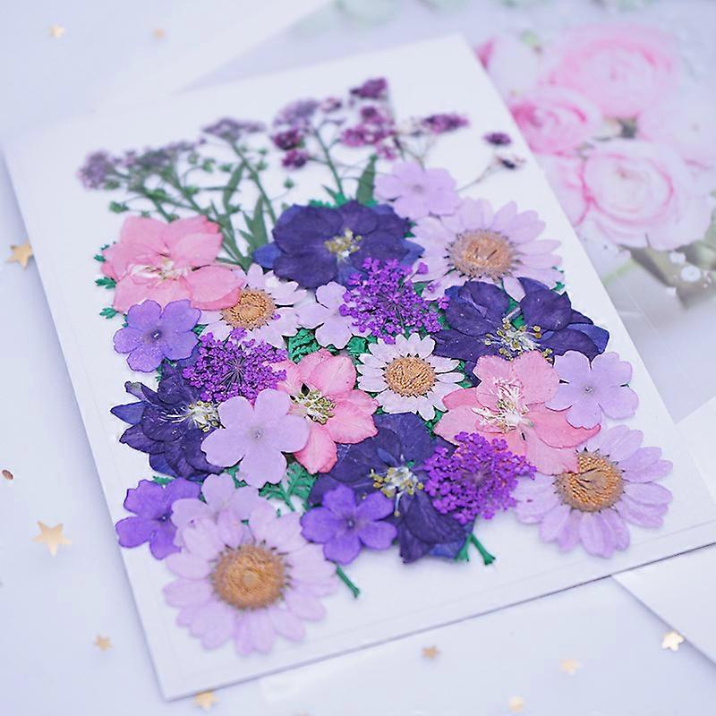 DIY Art Real Pressed Flower