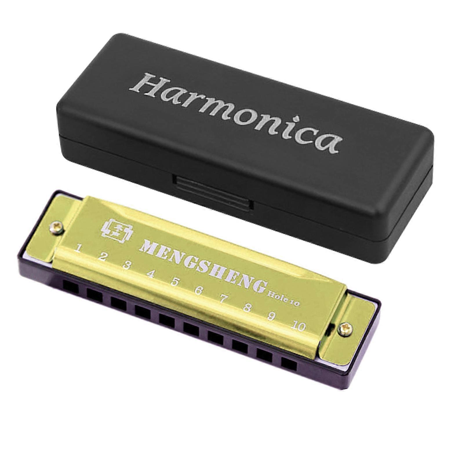 10 Hole Blues Harmonica High Sound Quality Mouth Organ Puzzle Musical Instrument for Kid