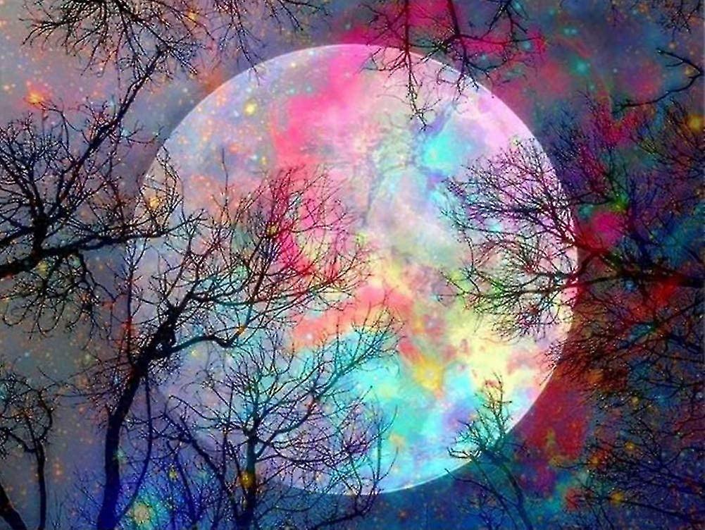 الرسم حسب الرقم للبالغين ، طلاء الزيت DIY حسب العدد مجموعات على قماش مع فرش ، القمر 16 × 20 بوصة بدون إطار