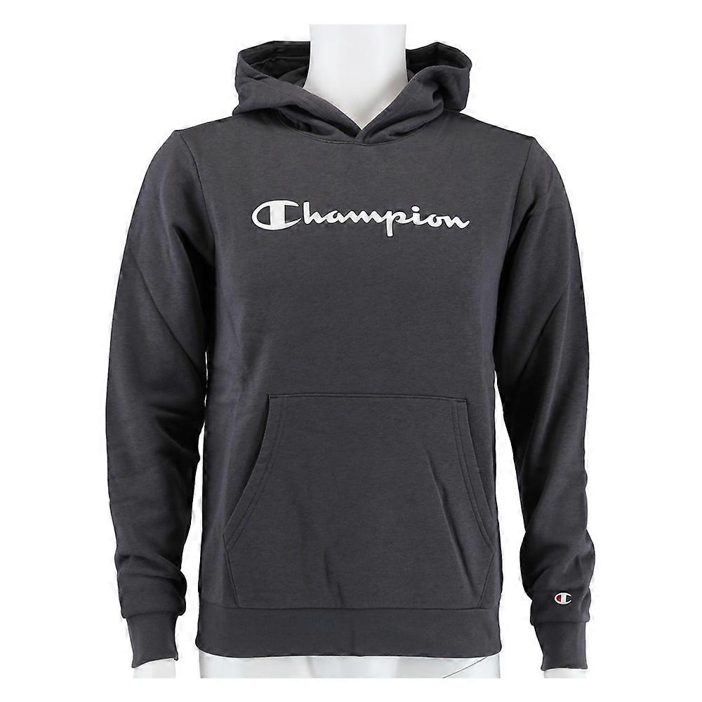 Sweatshirts Champion Big Logo Print 305358ES508