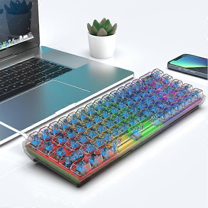 Y-FRUITFUL K60 68 Keys Type-C Wired Mechanicald RGB Light Transparent Keycaps Gaming