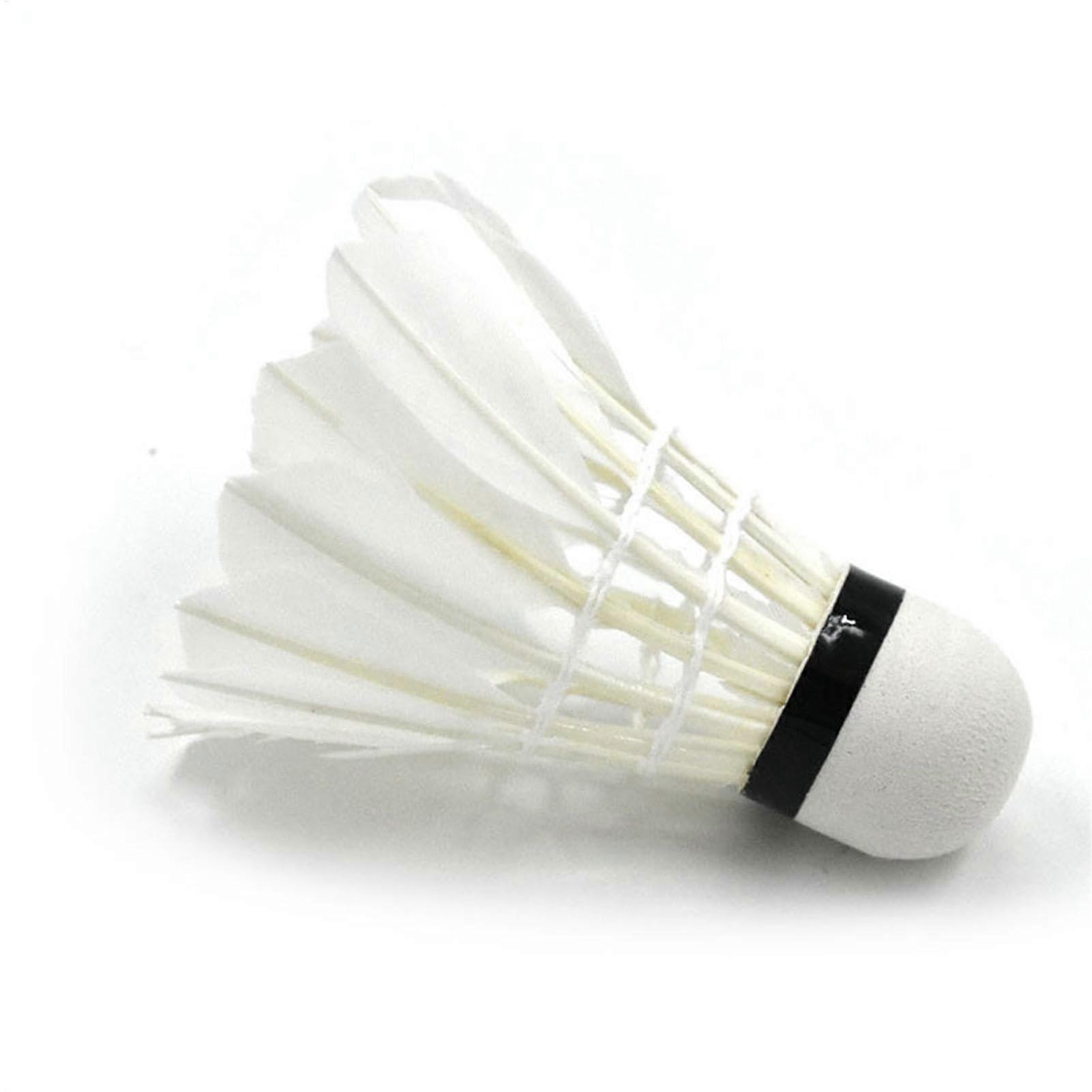 Badminton Federball Set for Outdoor Play, High-Stability Badminton Rackets, Durable Feather Shuttlecocks, Lightweight Design