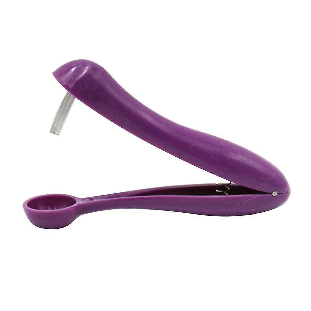 Corer Pitter Made of Plastic and Aluminum for Home Use Compact Size 2 Pieces