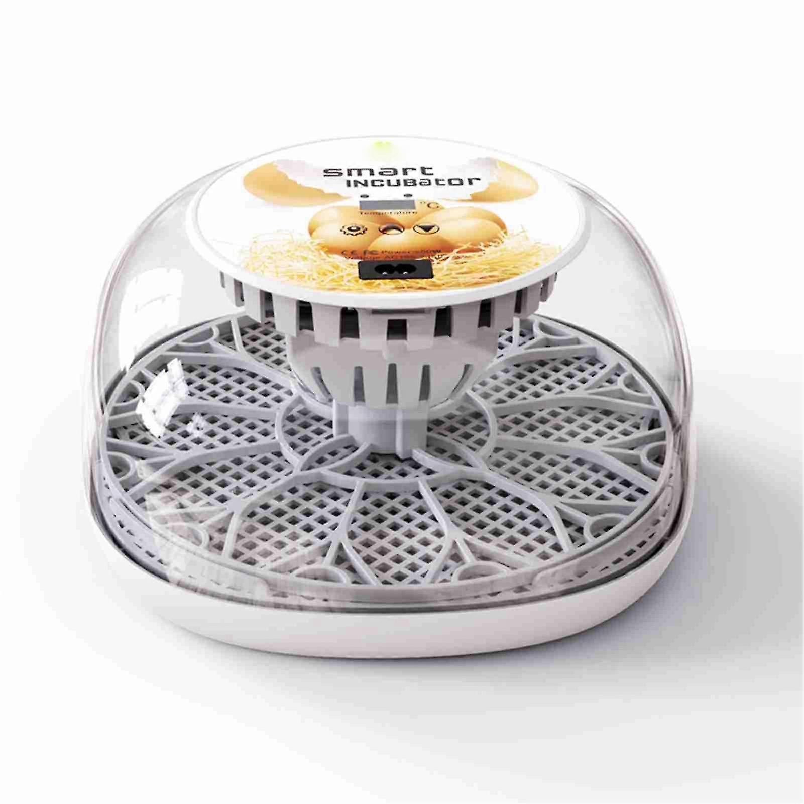 Egg Incubator for Hatching with Automatic Egg Turning Led Egg Test Lamp Clear Lid Easy to Wash 12 Eggs Poultry Hatcher Farm Bird Quail Chicken Poultr