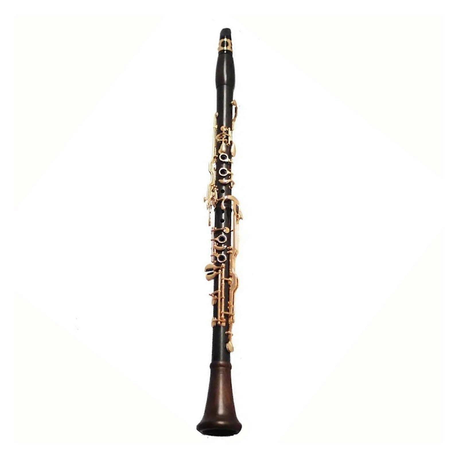 Professional 18 Key Clarinet for Beginner and Intermediate Players, Bright Tone Durable Student Instrument
