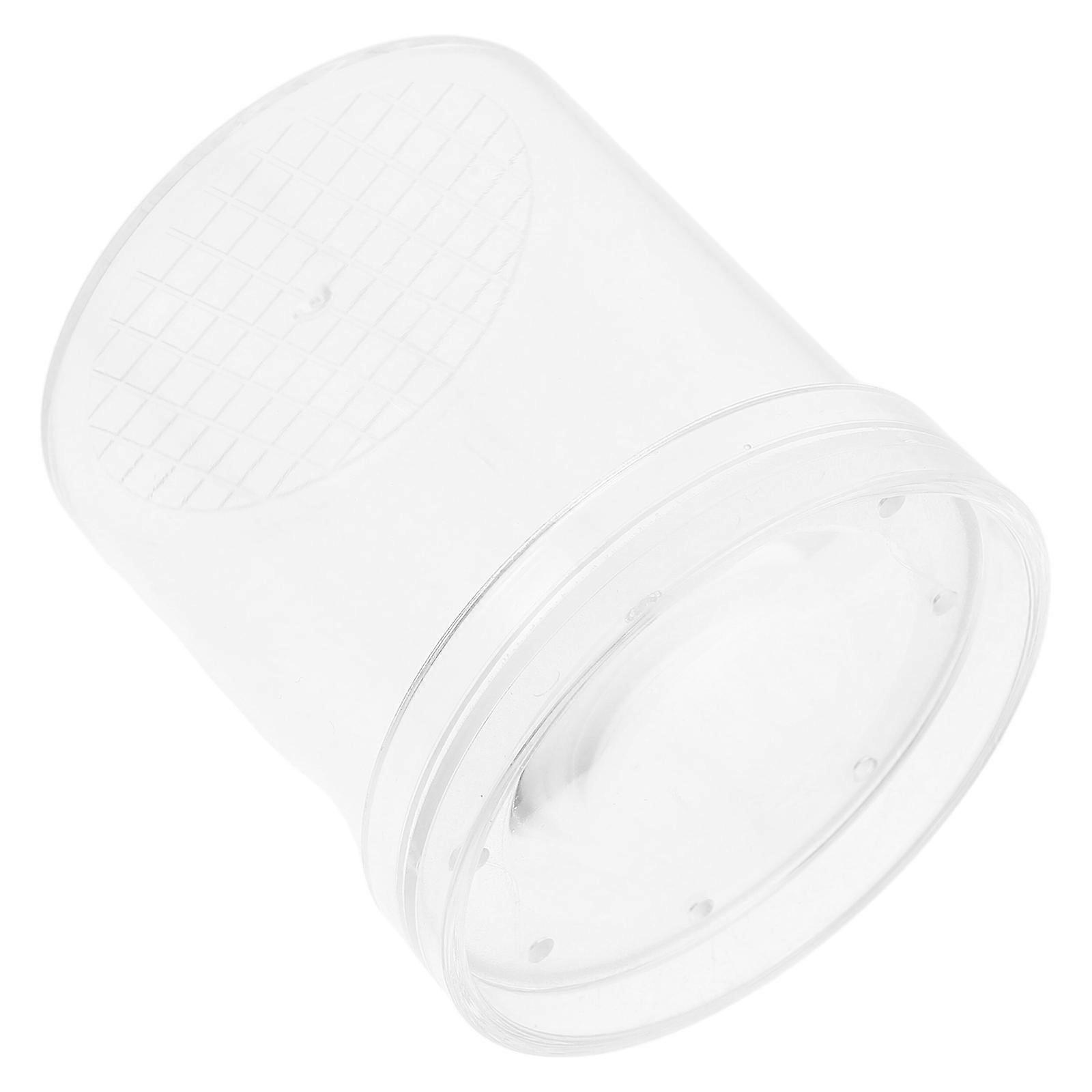 Bug Viewer Insect Observation Box Bugs Viewing Transparent Plastic Magnifying Educational Tool 1Set