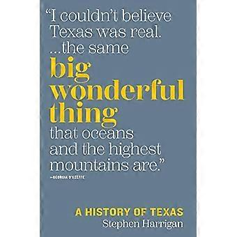 Big Wonderful Thing: Eine Geschichte von Texas