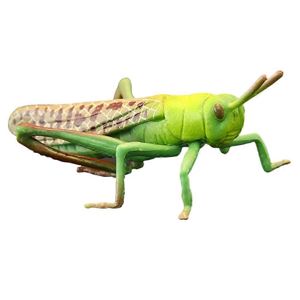 1pc Simulation Locust Model Plastic Grasshopper Decor Insect Plastic Toy