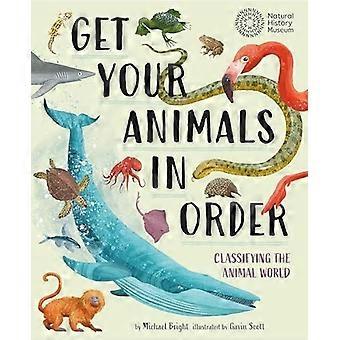 Get your animals in order classifying the animal world
