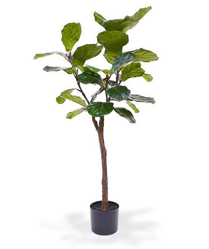 Lyrata tree (120 cm)
