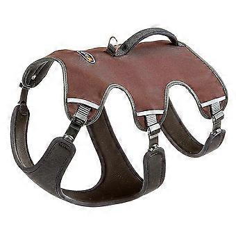 ergonomic harness dogs large 50lt;ulgt;60 ergotrekking