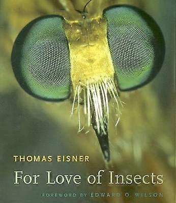 Pentru dragostea de insecte