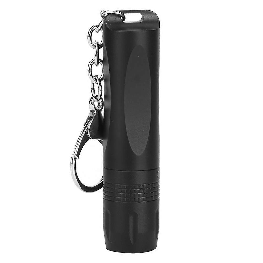 Mini Portable LED Flashlight with Keyring for Camping Hiking
